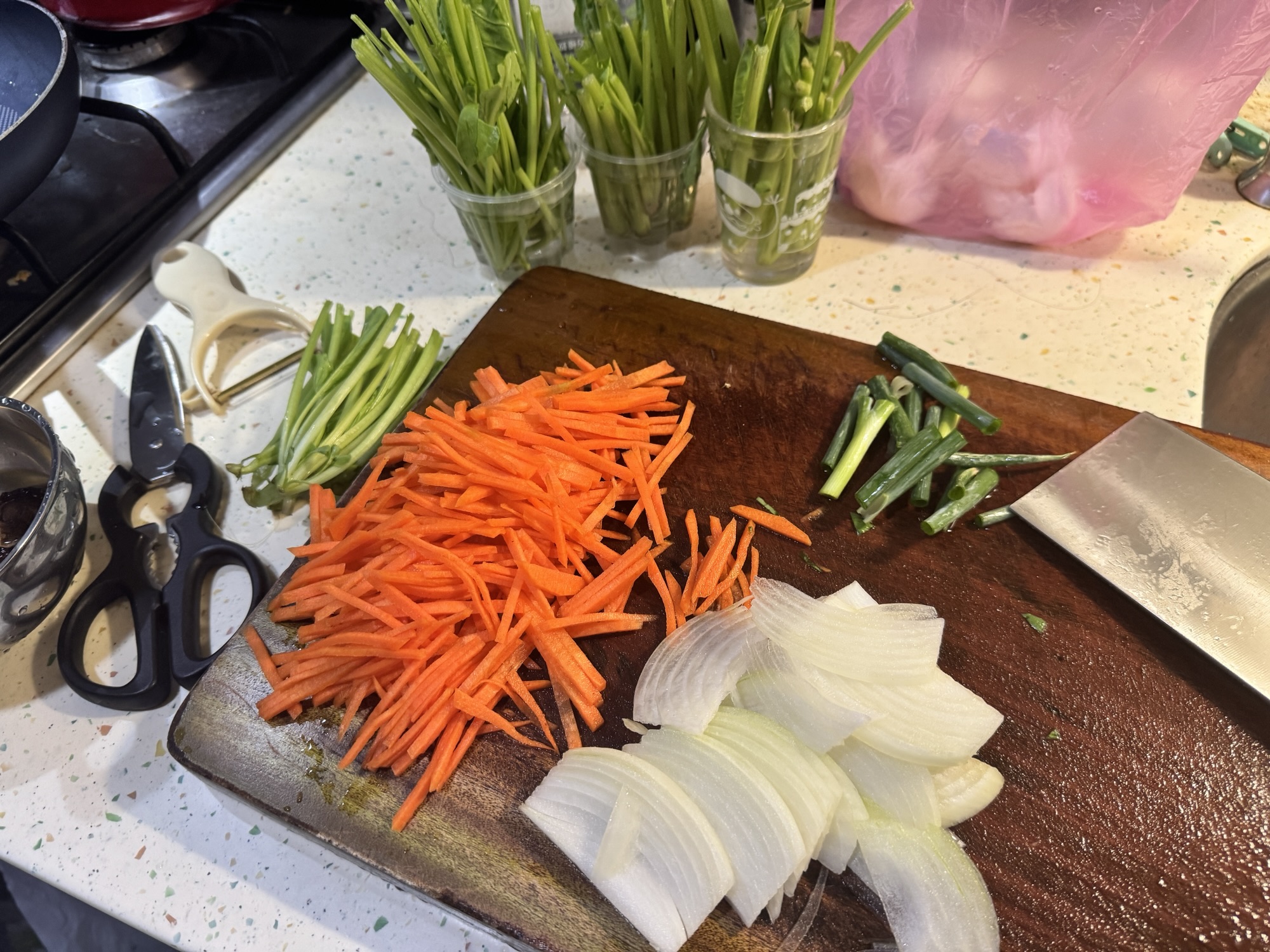 生生不息的菜苗
